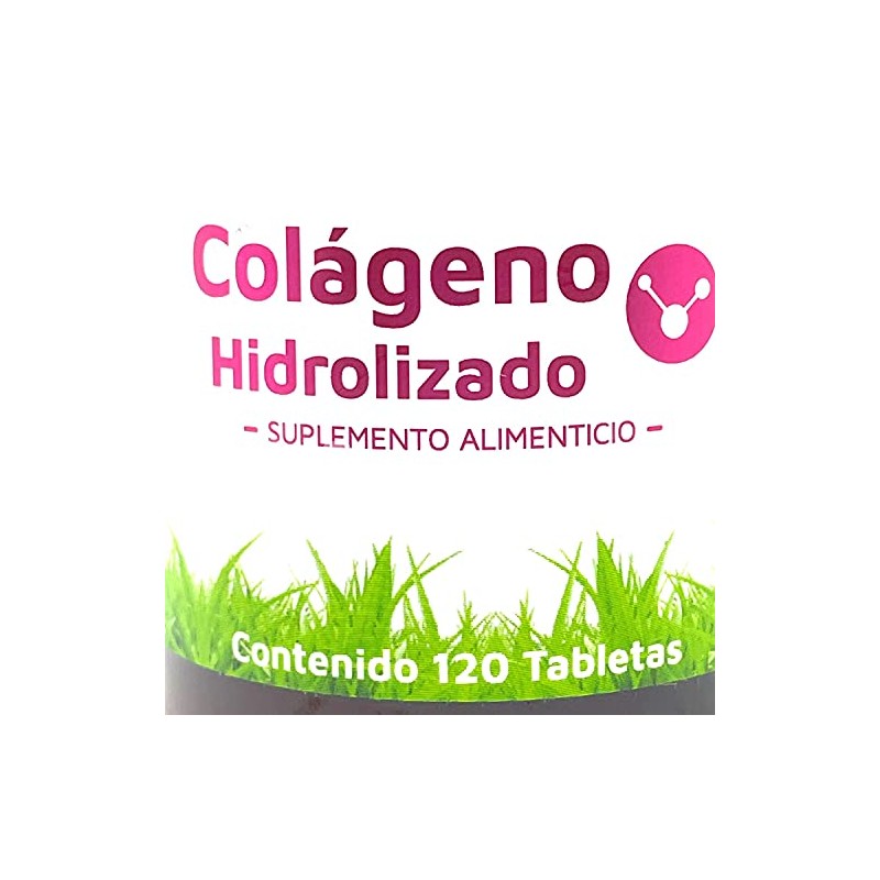 Vidanat Colàgeno Hidrolizado -120 càpsulas