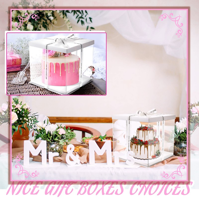 Taiyin 9 Pcs Large Tall Clear Cake Box 10''x10''x9'' White