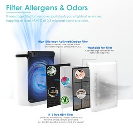 Flintar Vital 100S Replacement Filter, Compatible with LEVOIT Vital 100S Air Purifier, H13 True HEPA + Activated Carbon Replacement filter, Part # Vital 100S-RF, Original Filter, 2-Pack