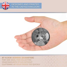 Destination Vinyl ltd Magnet for Refrigerator, Fridge BW - Cute Flying Squirrel Animal for Office, Cabinet and Whiteboard, Magnetic Stickers, 39027