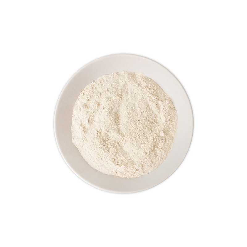 Boswellia extract powder 500g 2 packs / 보스웰리아 추출분말 500g