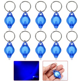 LIAISIMI LED UV Keyring Torch Mini LED Key Ring Light Portable Keychain Torch Black Light UV Urine Detector for Dogs (10 Pieces Blue)