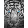 Ulmer Puzzleschmiede - Puzzle "Tiger" - 1000 pieces jigsaw puzzle