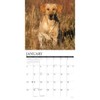 Yellow Labs 2026 12" x 12" Wall Calendar