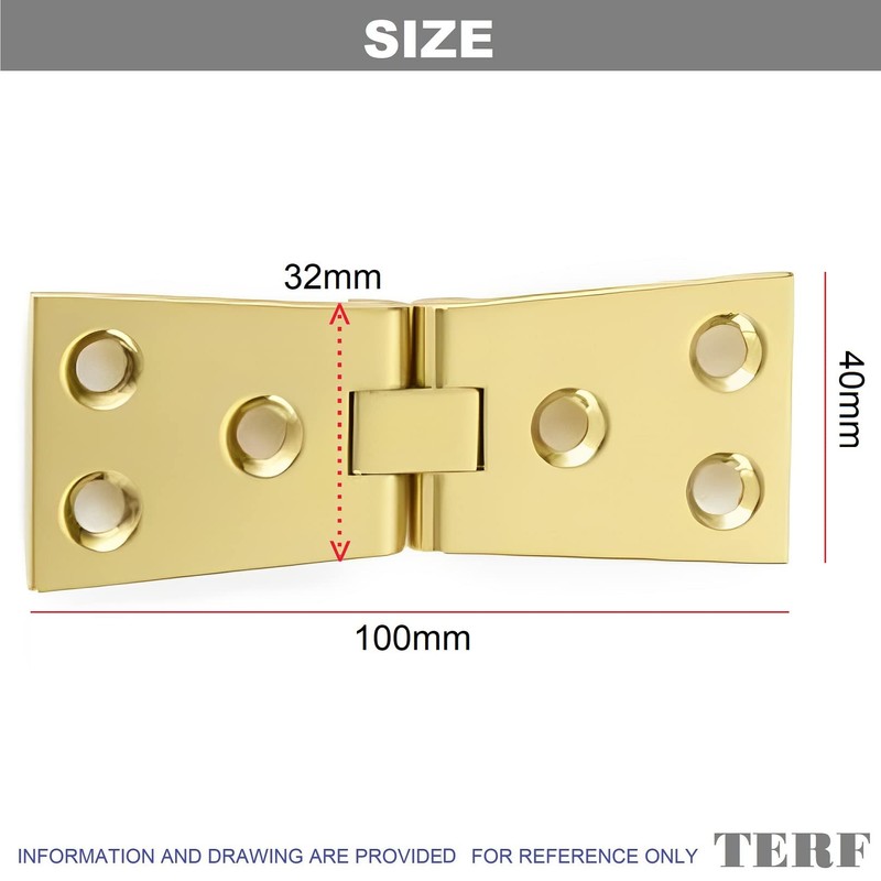 TERF® Heavy Duty Polished Brass Counter Flap Hinges 100mm X