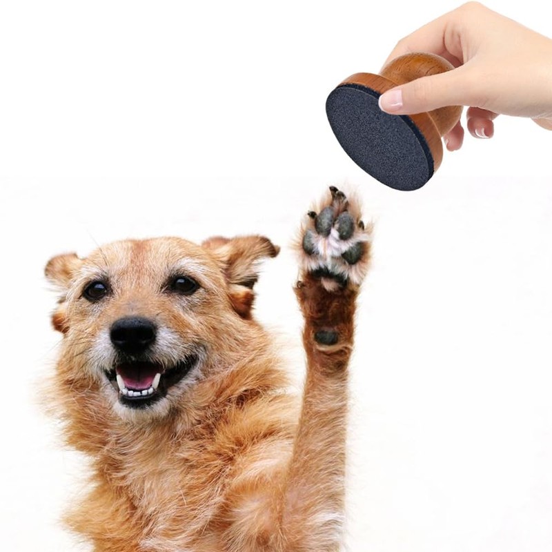 Arvintas Dog Nail File with 4Pcs Replaceable Sandpaper, Dog Scratch