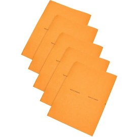 Clean ´n Shine Power Wipes, Cleaning Cloths Made in Germany, Set of 5, Orange