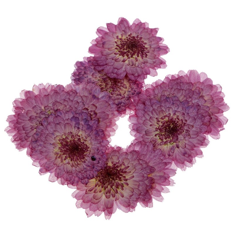 Sue Devitt Silky Sheen E/S - Madrid