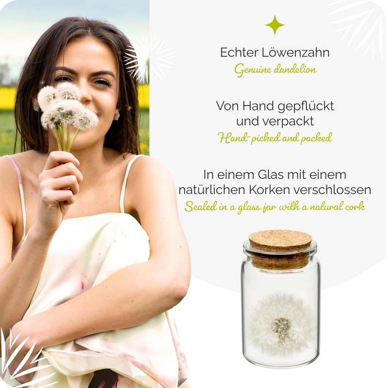 Garronda Wish Fulfiller - Elegant Dandelion in Glass, Charming Small
