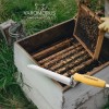 Varomorus 11" Stainless Steel Beekeeping Hot Knife Uncapping Decapping Bee