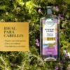 Kit Shampoo y Acondicionador Herbal Essences Romero Hierbas Purificante y