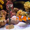 Vitdipy Aquarium Warning Sign Decoration Stable Weighted Base Simulation Resin