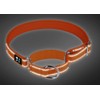 Serijoars Martingale Heavy Duty Nylon Dog Collar, Soft Neoprene Padded