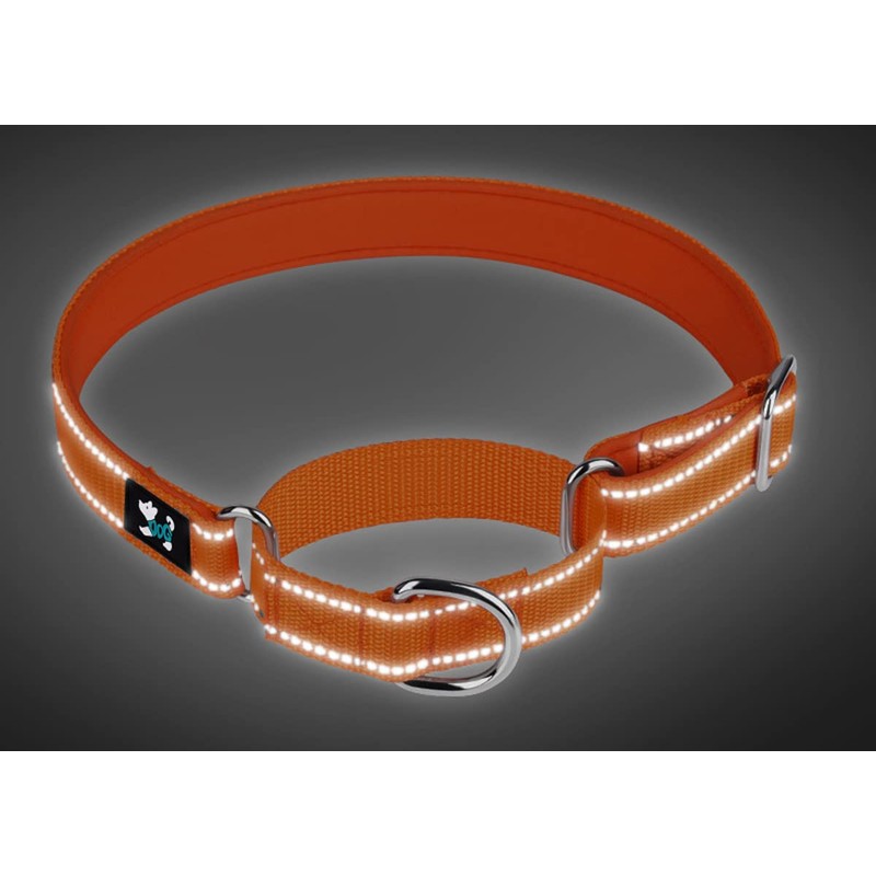 Serijoars Martingale Heavy Duty Nylon Dog Collar, Soft Neoprene Padded