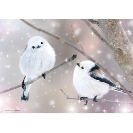 Beverly 108-207 Jigsaw Puzzle, Spring Is Still Still in Japan? Shimaenaga (18.2 x 25.7)