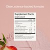 Gainful Hydration Powder Packets, Caffeine Free with Key Electrolytes Magnesium