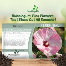 Outsidepride Luna Pink Swirl Hibiscus Seeds - 10 Pcs Perennial Flower Seeds for Planting Pollinator-Friendly, Large & Elegant Blooms with Dense Dark Green Foliage for Containers, Pots, & Garden Spaces