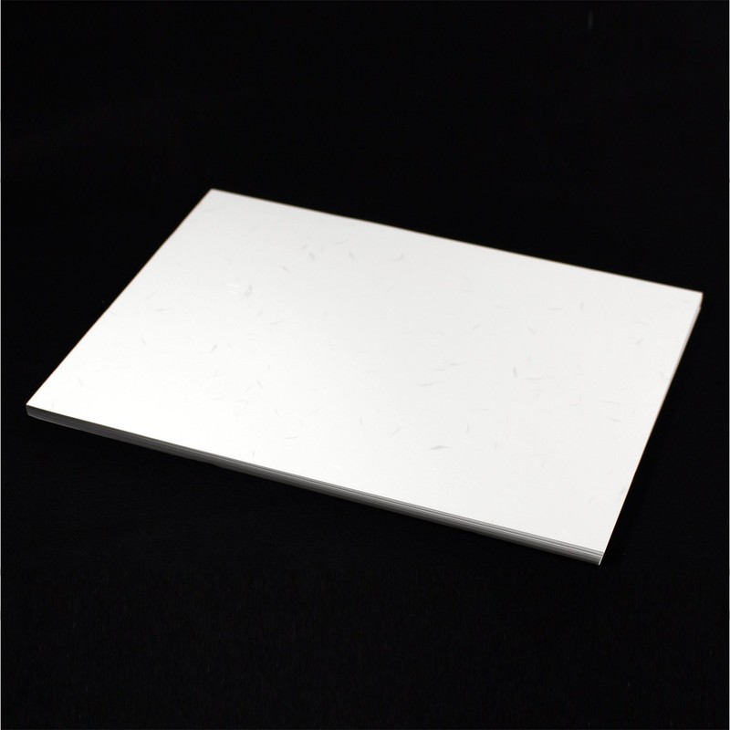 Fighters Elephant Washi OA Compatible for 得用 Great Paper