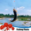 12 Pcs Fishing Snap-On Floats 6 Sizes Hard Float Bobbers