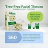 Caboo Tree Free Facial Tissue Paper, Tissue Box with 60