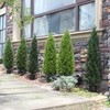 4ft Artificial Cedar Trees Artificial Topiary Trees Set of 2