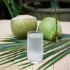 Bamboo Tree Acqua di Cocco 1 X 330 ML