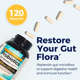 NewRhythm Probiotics 120 Billion CFU 36 Strains, 3-in-1 Probiotics for Digestive Health & Immune Support with Prebiotics & Enzymes, Probioticos for Women & Men, Targeted Release, 60 Veggie Caps