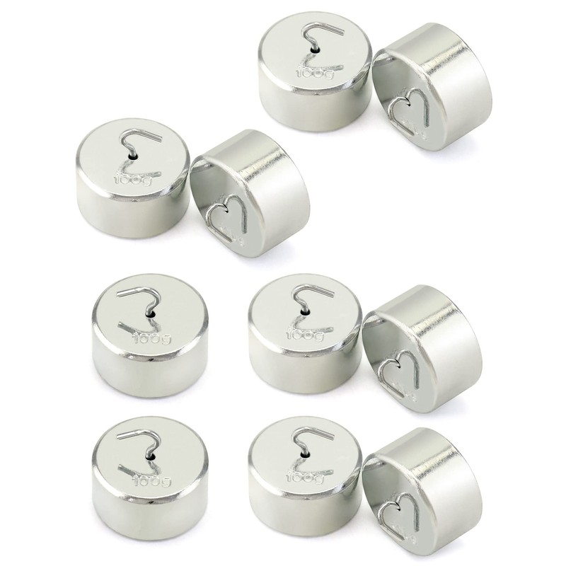 QWORK Double Hook Physics Weights Set, 10pcs 100g Metal Weights