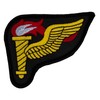 Pathfinder Torch Patch 2 1/4" x 3" Embroidered Patch (Hook