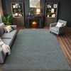 AROGAN Washable 2x8 Runner Rug for Hallway, Long Runner Rugs