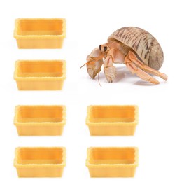6 Pcs Hermit Crab Micro Food Bowl Ant Farm Small Water Dish for Hermit Crab Tarantula Snail Ant Millipede Tiny Bugs