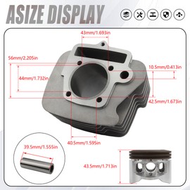 PowerMotor Motorcycle Cylinder Kit 56mm Bore Cylinder Replacement for YinXiang YX 140 140cc Dirt Pit Bike ATV Parts Horizontal Engine
