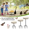 28In Freestanding Birdbaths Bowl Outdoor, Free Standing Garden Bird Bath