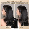 Safe and Convenient Comb Hair Dye, Touch up Comb, Waterproof