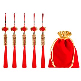 6 Pack Chinese Fortune Coins with Red Velvet Blessing Bag set - Traditional Feng Shui Coins with Red String & Lucky Bag for Chinese New Year Health Wealth and Success