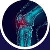 Dietary Sulfur Joint MSM Joint One Joint Care Ligament Nutrient