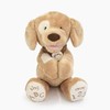 GUND 4059066 "Spunky Dog Tan ABC/123 Soft Toy