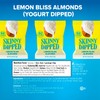 SkinnyDipped Lemon Bliss Almonds, Mini Snack Packs, Chocolate Covered Almonds,