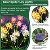 DooYard Solar Spider Lily Flower Lights Outdoor Waterproof 2 Pack,