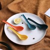 Evanda Soup Spoon, ECO Friendly Dinner Spoon,Made of Food Grade