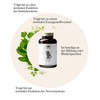 Kräuterhandel Sankt Anton – Iron capsules – 180 capsules –