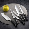 Richardson Sheffield VULCANO Filetiermesser, Schwarz, Mattierte Klinge, Klingenstahl, Scharfes Messer,