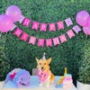 Suministros para Fiesta para Perro, Bandana de Cumpleaños para Perro,