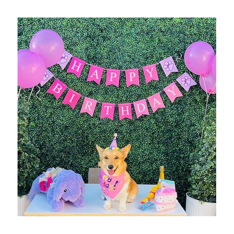 Suministros para Fiesta para Perro, Bandana de Cumpleaños para Perro,