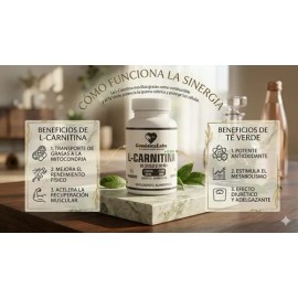 Quemador De Grasa Con L-carnitina Y Te Verde 60 Caps 1000mg                                                                                           