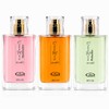 Choco Musk 50ml Bundle Choco, Marshmallow and Pistachio Variety Pack