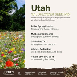 Eden Brothers Utah Wildflower Mixed Seeds for Planting, 1/4 lb, 120,000+ Seeds with Snapdragon, Yarrow | Attracts Pollinators, Plant in Spring or Fall, Zones