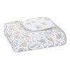 aden + anais essentials 100% Cotton Muslin Dream Blanket for