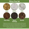 Citrus Tree Potting Soil Mix (12 Quarts), Special Blend for