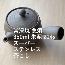 Landscape.com Tokoname Ware Teapot, 12.2 fl oz (360 ml), Super Stainless Steel Tea Strainer, 217s, Made in Japan